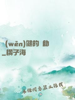 穩(wěn)健的輔助