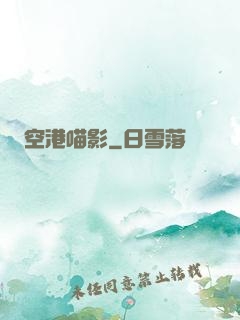 空港喵影
