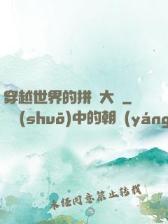 穿越世界的拼裝大師