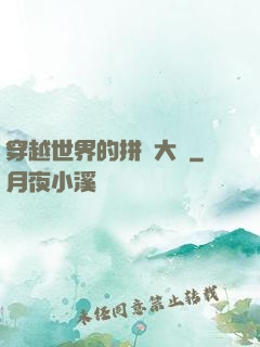 穿越世界的拼裝大師