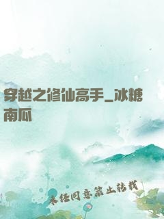 穿越之修仙高手