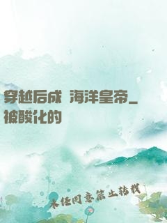 穿越后成為海洋皇帝