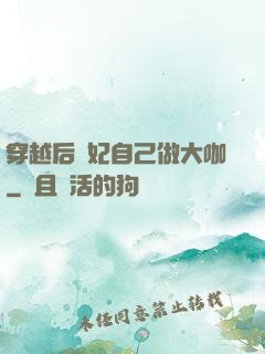 穿越后貴妃自己做大咖