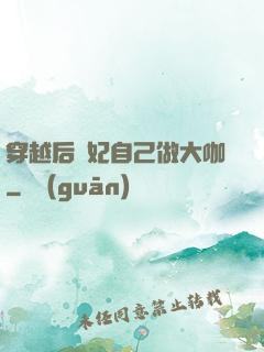 穿越后貴妃自己做大咖