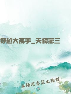 穿越大高手