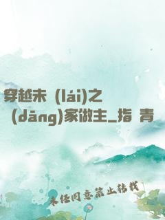 穿越未來(lái)之當(dāng)家做主