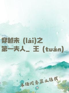 穿越未來(lái)之第一夫人