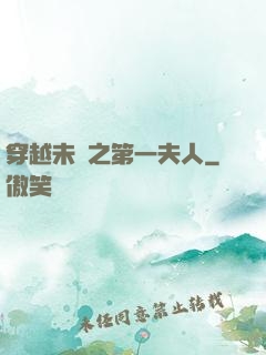 穿越未來之第一夫人