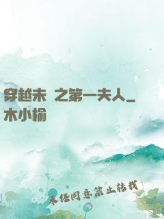 穿越未來之第一夫人