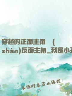 穿越的正面主角對戰(zhàn)反面主角
