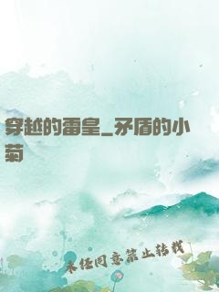 穿越的雷皇