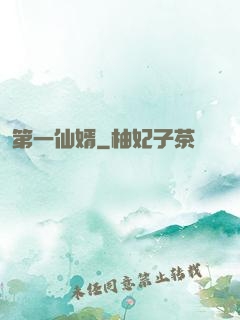第一仙婿