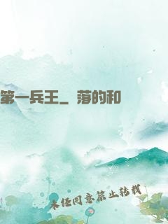 第一兵王