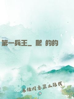 第一兵王