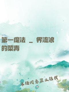 第一魔法師