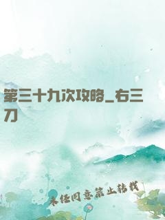 第三十九次攻略