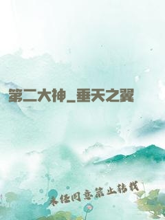 第二大神