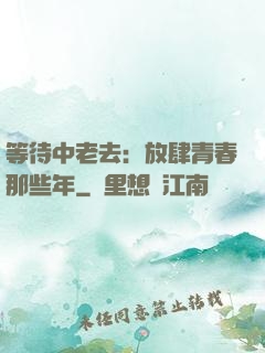 等待中老去：放肆青春那些年