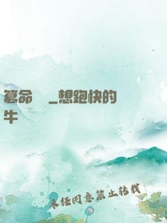 篡命銅錢