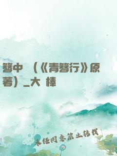 簪中錄（《青簪行》原著）