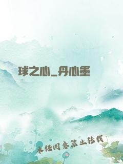 籃球之心