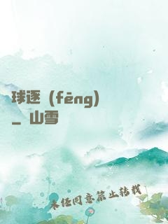 籃球逐風(fēng)夢