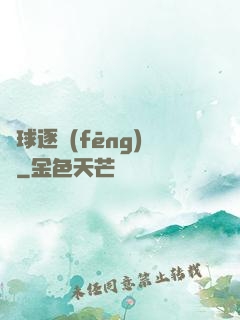 籃球逐風(fēng)夢
