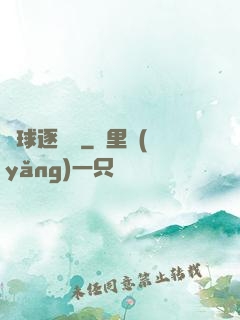 籃球逐風夢