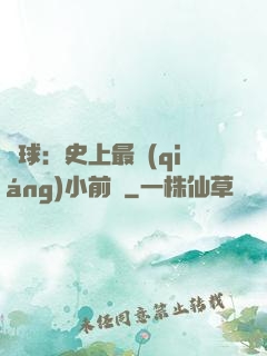籃球：史上最強(qiáng)小前鋒