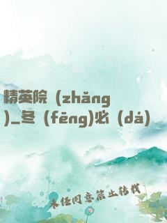 精英院長(zhǎng)