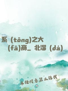 系統(tǒng)之大開發(fā)商