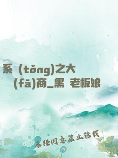 系統(tǒng)之大開發(fā)商