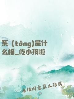 系統(tǒng)是什么桶