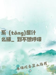 系統(tǒng)是什么桶