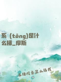 系統(tǒng)是什么桶