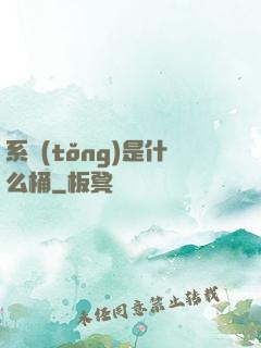 系統(tǒng)是什么桶