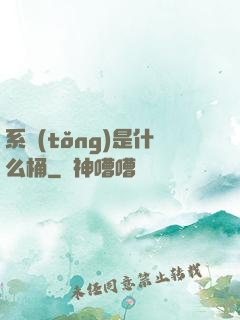 系統(tǒng)是什么桶