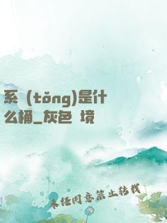 系統(tǒng)是什么桶