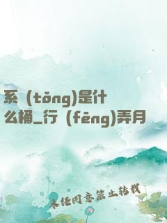 系統(tǒng)是什么桶