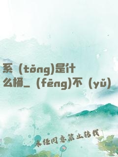 系統(tǒng)是什么桶