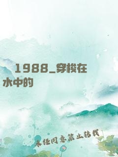紐約1988