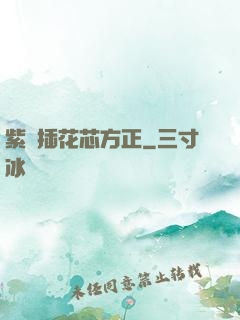 紫龍插花芯方正