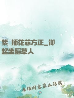 紫龍插花芯方正