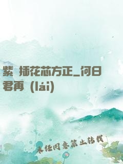 紫龍插花芯方正