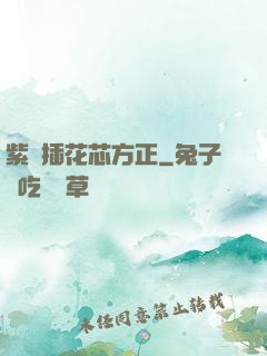 紫龍插花芯方正