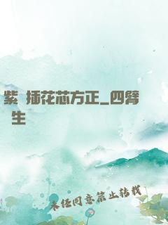 紫龍插花芯方正