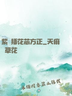 紫龍插花芯方正