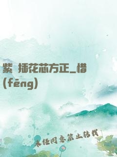 紫龍插花芯方正