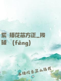 紫龍插花芯方正