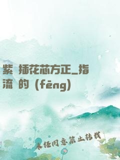 紫龍插花芯方正